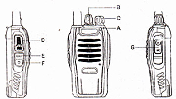 Pofung Gt1  -  9